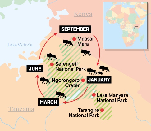 The Great Migration Africa. Kenya and Tanzania